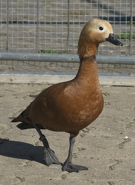 了一场关键